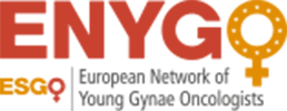 ENYGO Logo